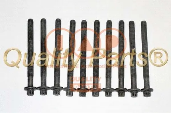Cylinder Head Bolt Set (119-13093)