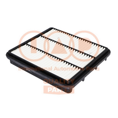 Air Filter (121-20046G)