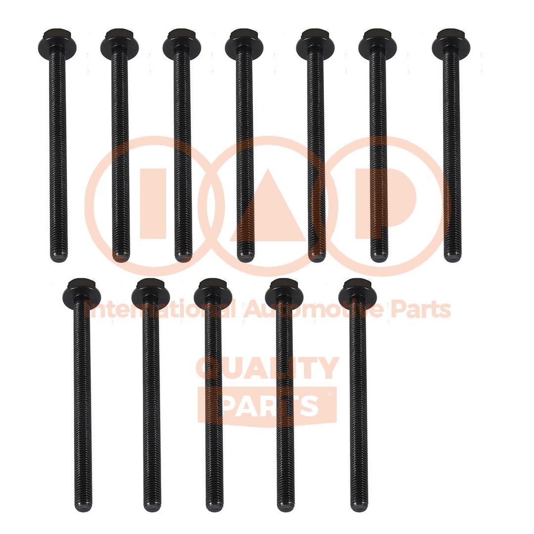 Cylinder Head Bolt Set (119-16096)