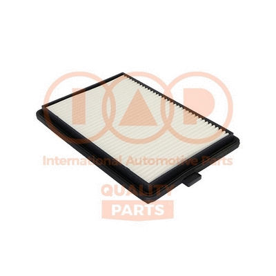 Air Filter (121-06033)