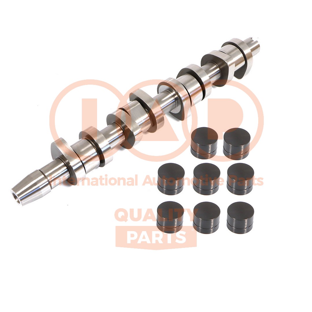 Camshaft (124-50033K)