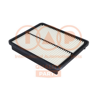 Air Filter (121-21087)