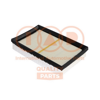 Air Filter (121-16065)
