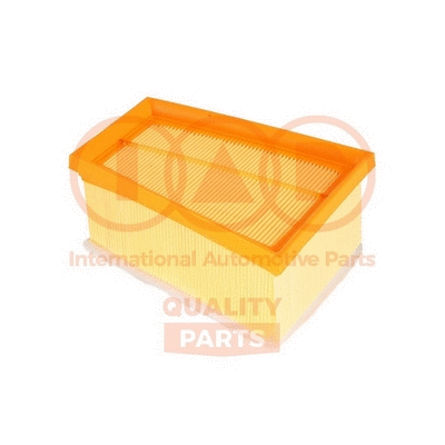 Air Filter (121-13163)