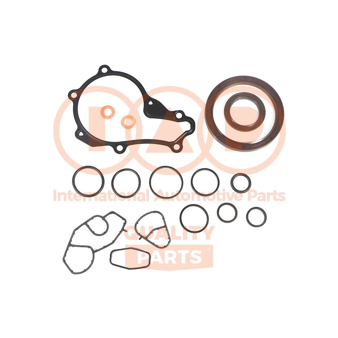 Gasket Kit, crankcase (117-17007)