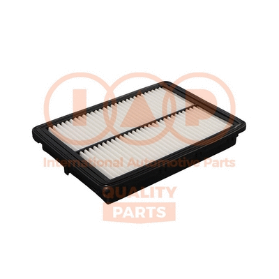 Air Filter (121-21200)