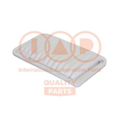 Air Filter (121-16079)