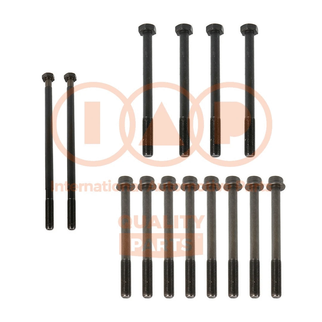 Cylinder Head Bolt Set (119-10050)