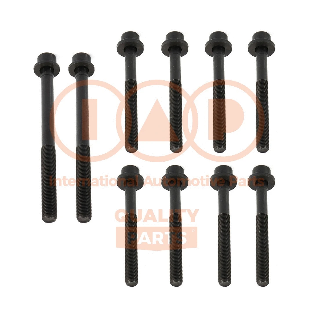 Cylinder Head Bolt Set (119-07000)