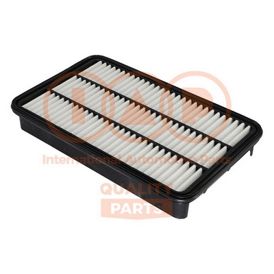 Air Filter (121-17095)