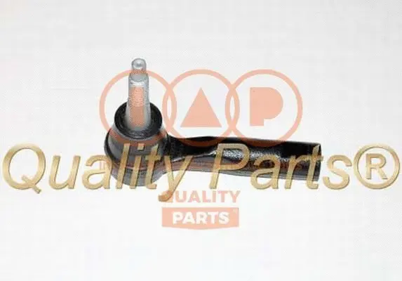 Tie Rod End (604-20100G)