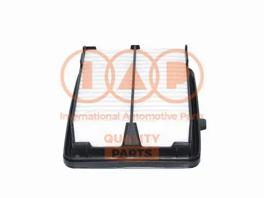 Air Filter (121-06087)