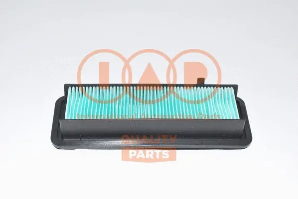 Air Filter (121-13095)
