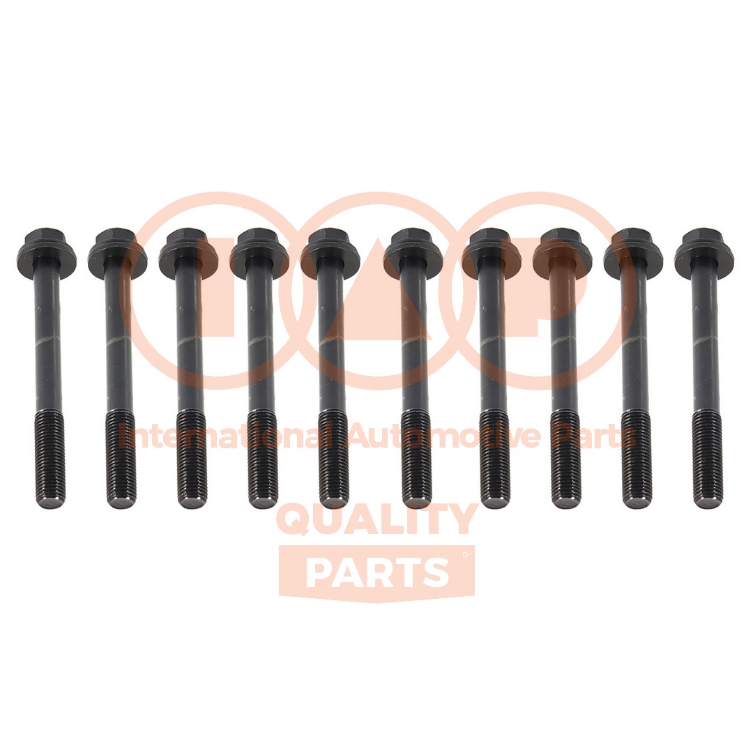 Cylinder Head Bolt Set (119-20061P)