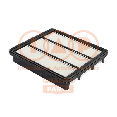 Air Filter (121-07081)