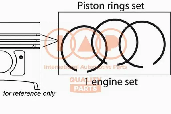 Piston Ring Kit (102-15011)