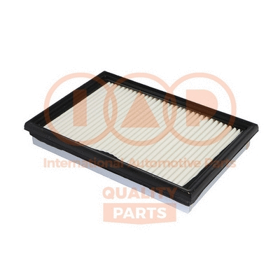 Air Filter (121-21020)