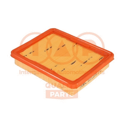 Air Filter (121-07050G)
