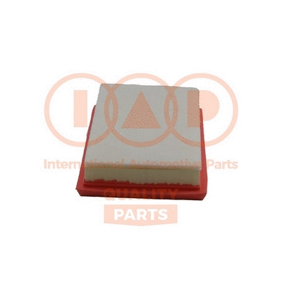 Air Filter (121-10081)