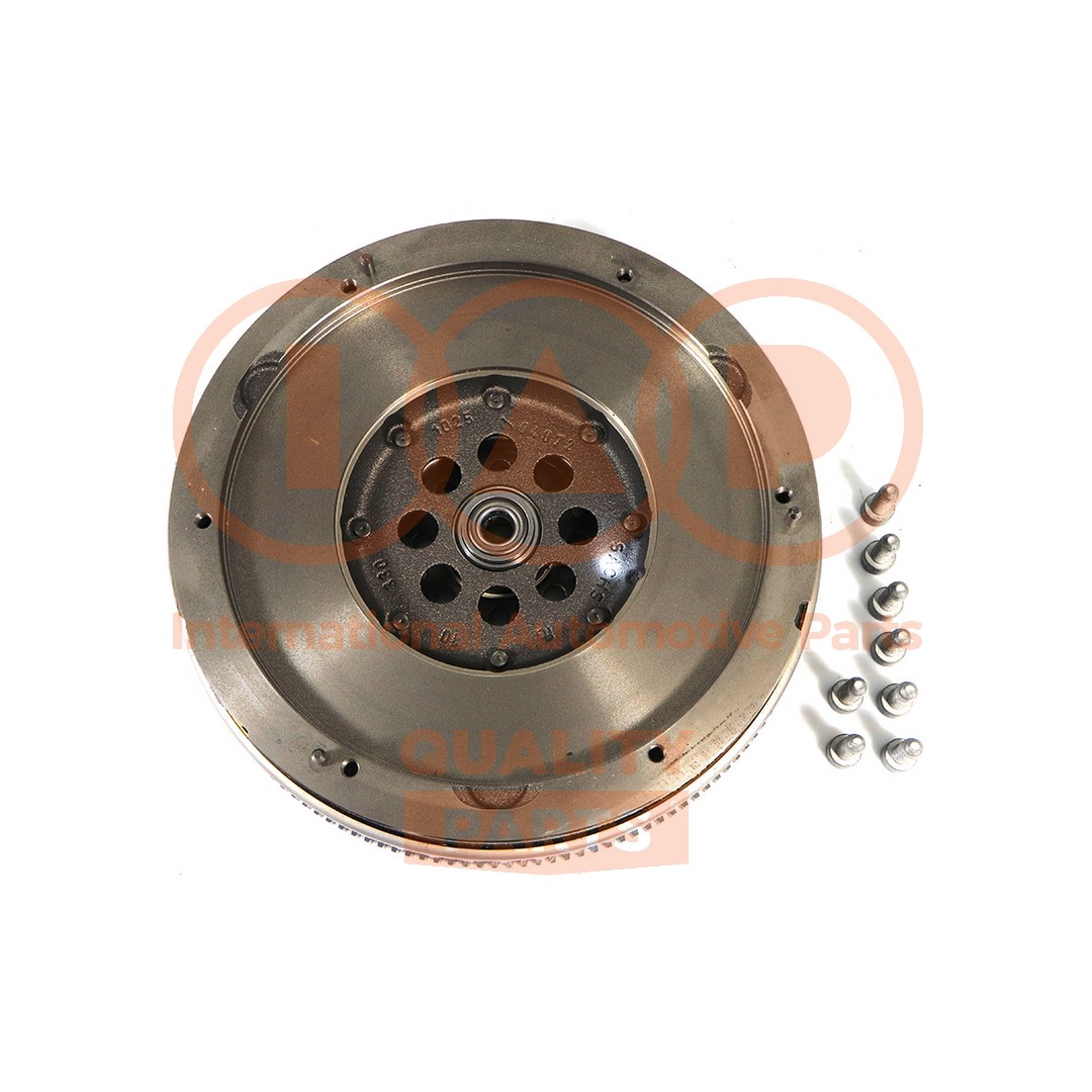 Flywheel (210-54010P)