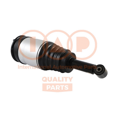 Air Suspension Strut (504-14081)