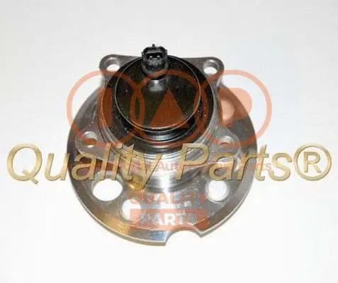 Wheel Hub (408-25051KG)