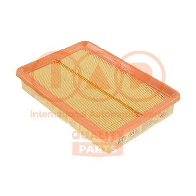 Air Filter (121-07022G)