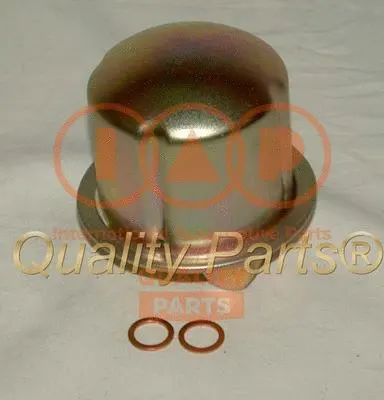 Fuel Filter (122-06015)