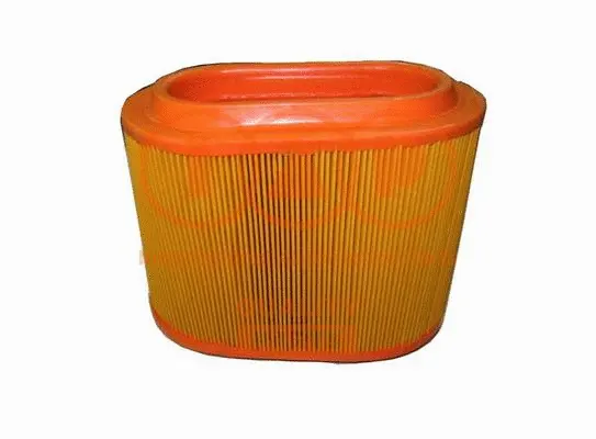 Air Filter (121-07061)