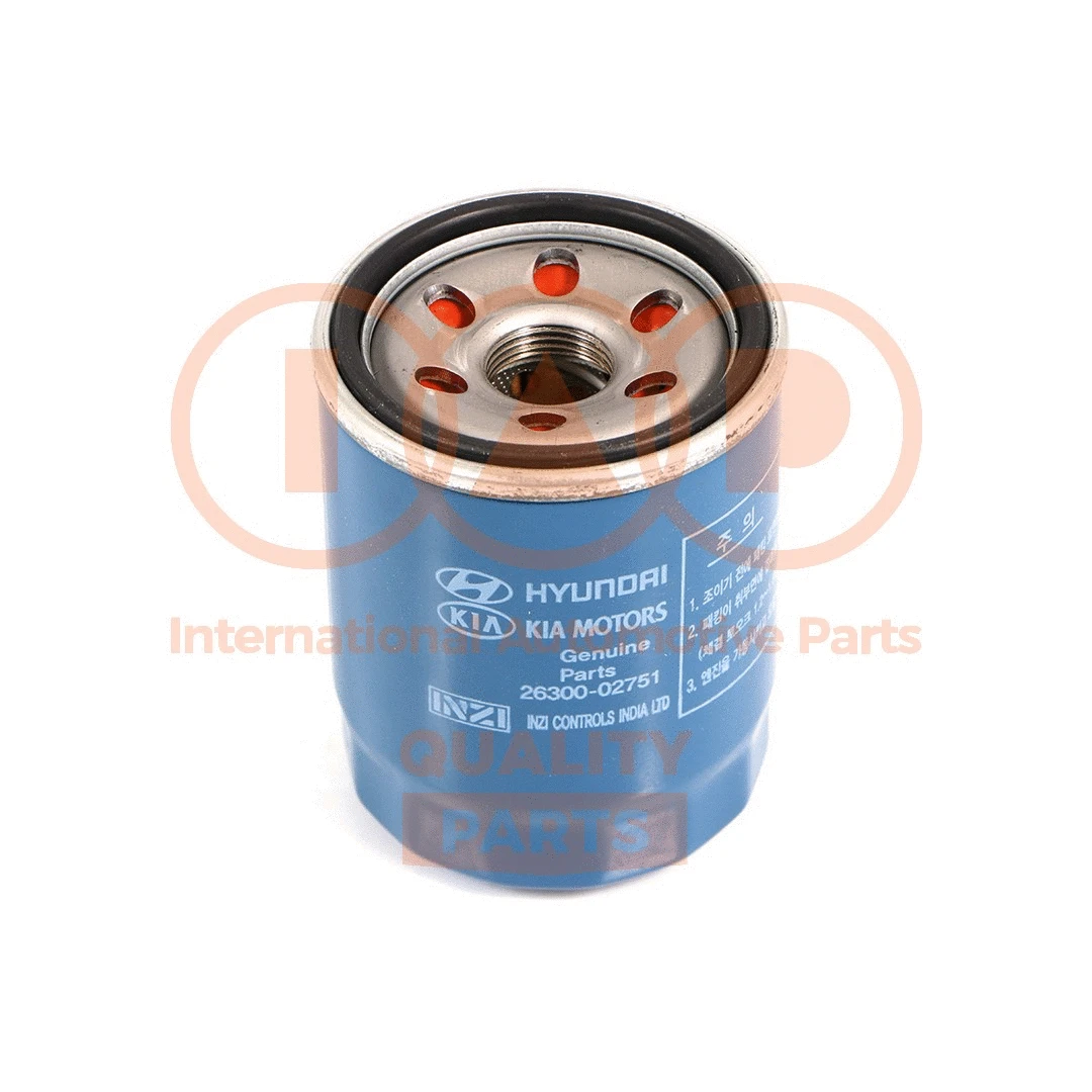 Oil Filter (123-07091G)