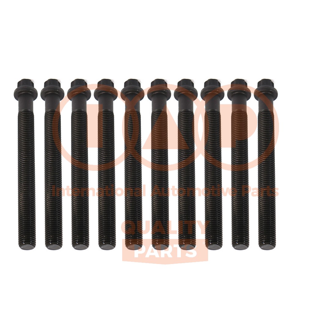 Cylinder Head Bolt Set (119-13162P)