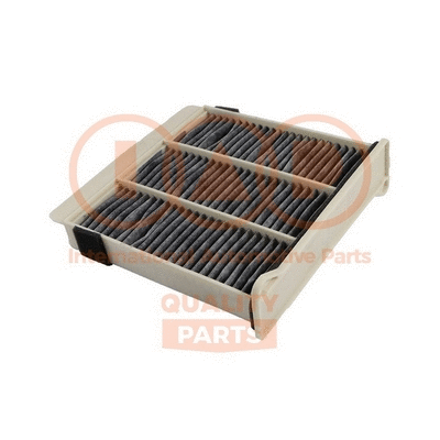 Filter, cabin air (821-12055C)