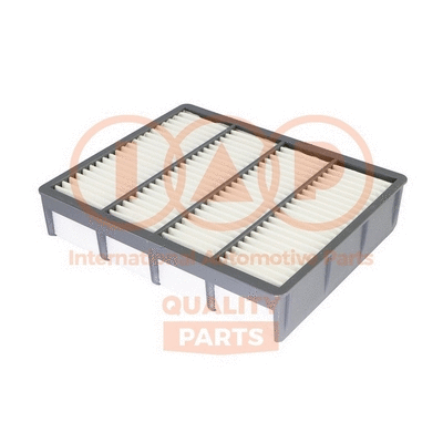 Air Filter (121-17067)