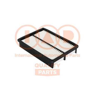 Air Filter (121-15066)