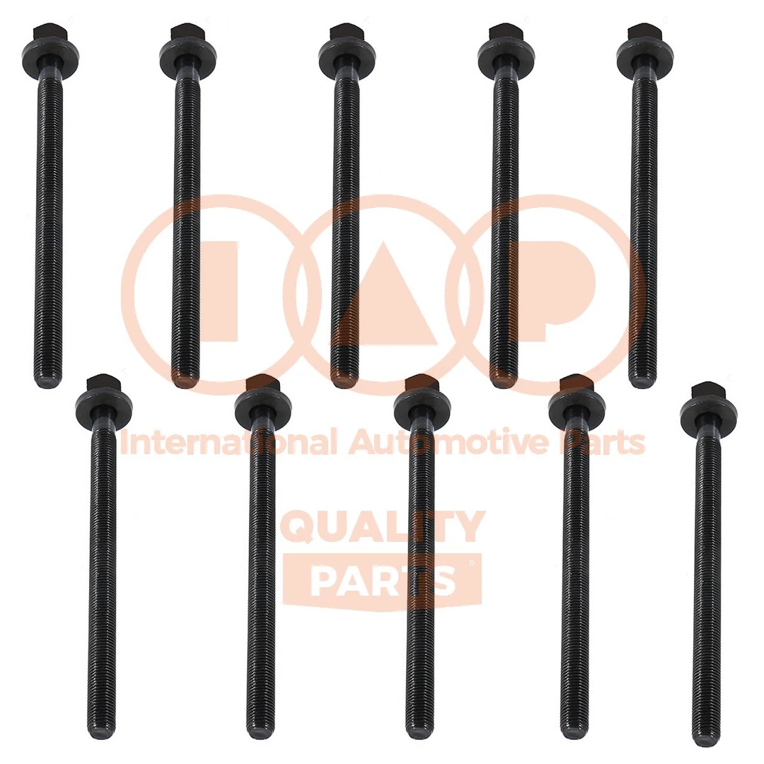 Cylinder Head Bolt Set (119-20100)