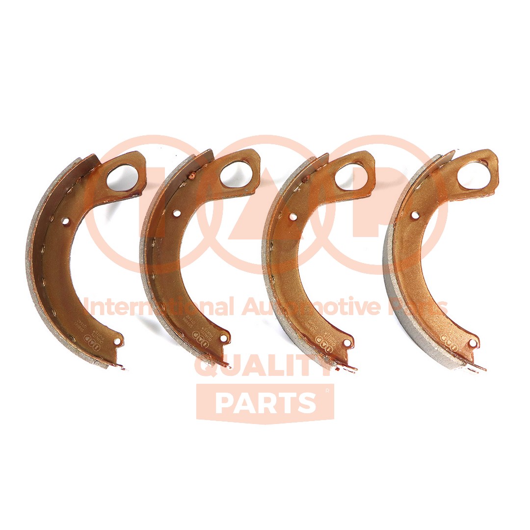 Brake Shoe Set (705-09095)