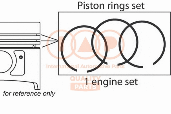 Piston Ring Kit (102-50000)