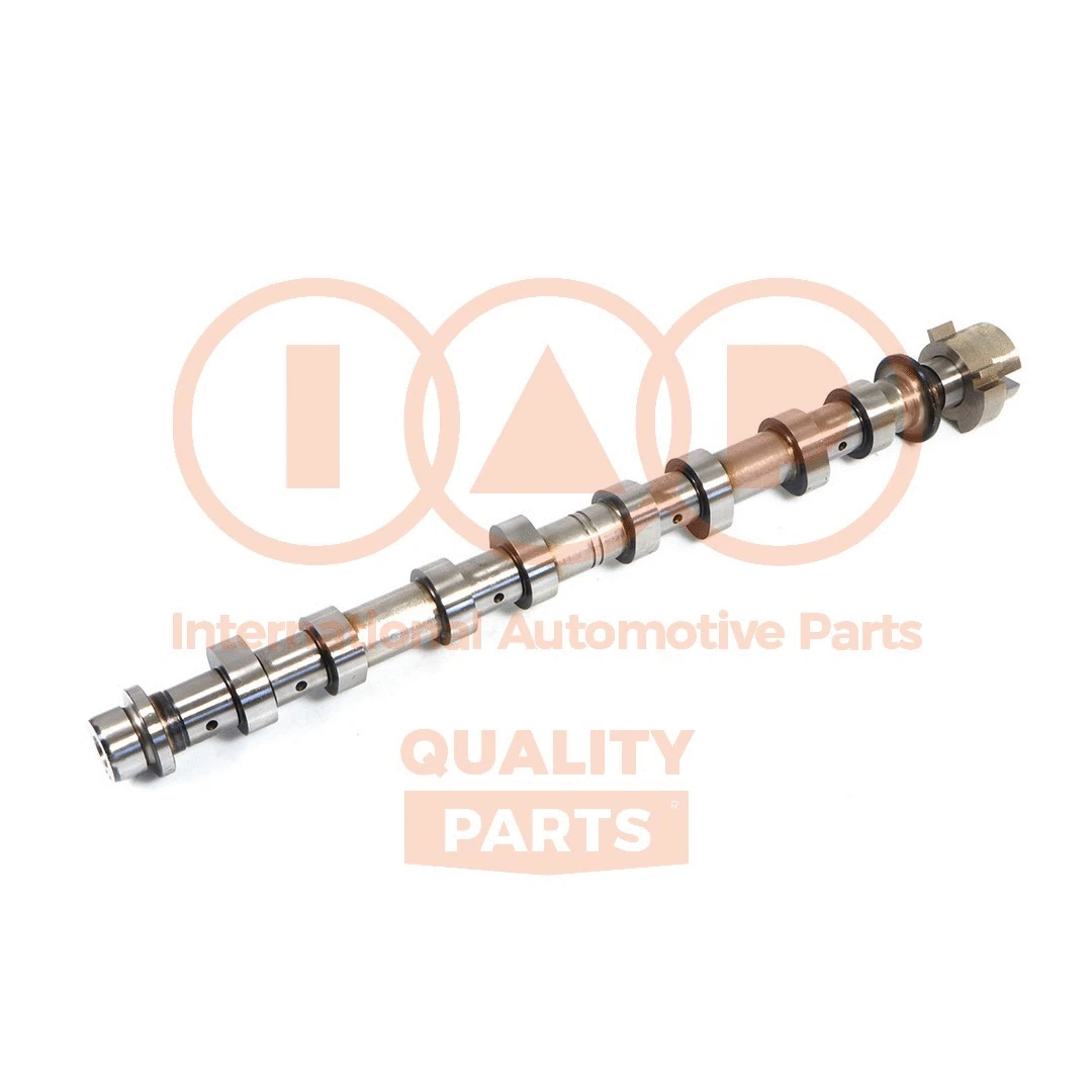 Camshaft (124-13116)