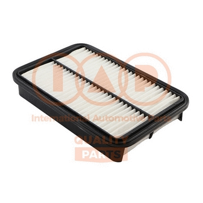 Air Filter (121-17092)