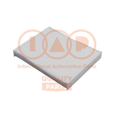 Filter, cabin air (821-21111)