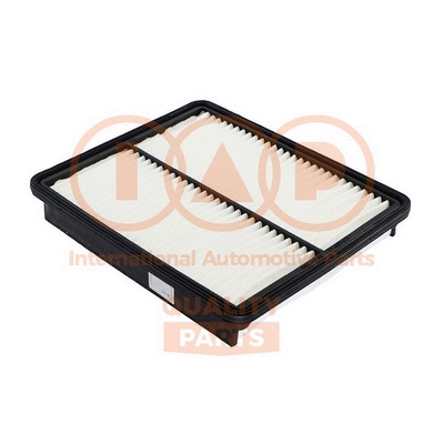 Air Filter (121-21087G)