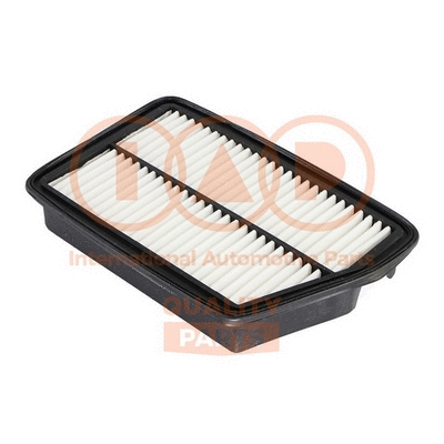 Air Filter (121-20070)