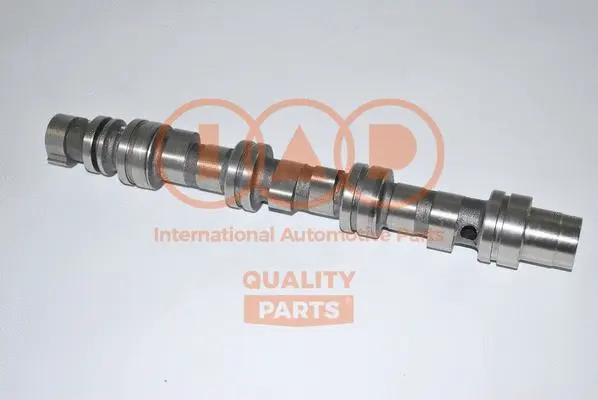 Camshaft (124-20061G)
