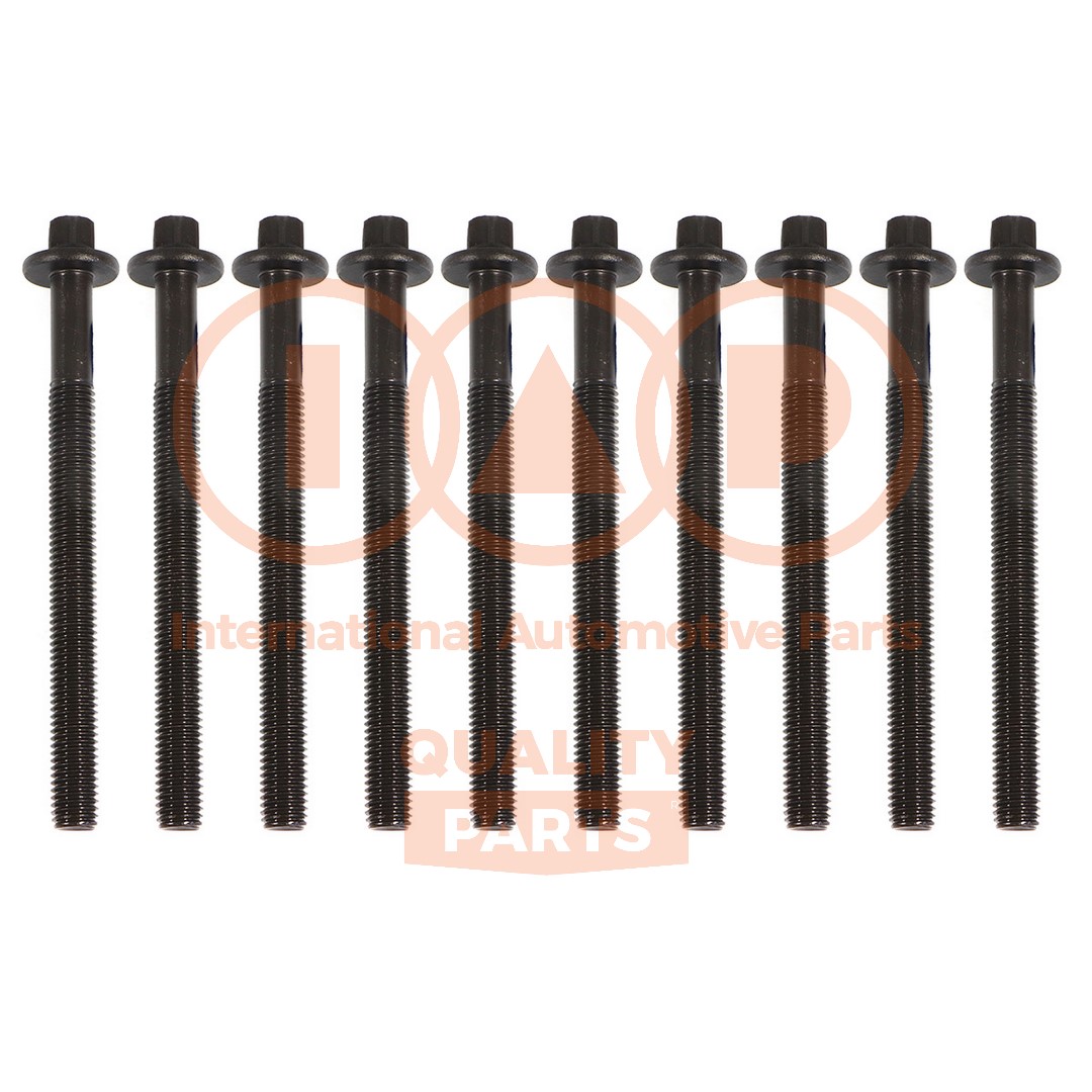 Cylinder Head Bolt Set (119-13164)