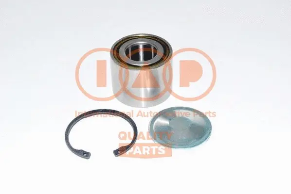 Wheel Bearing Kit (409-29011K)
