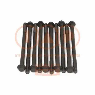 Cylinder Head Bolt Set (119-20034)