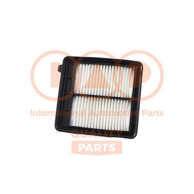 Air Filter (121-06130)