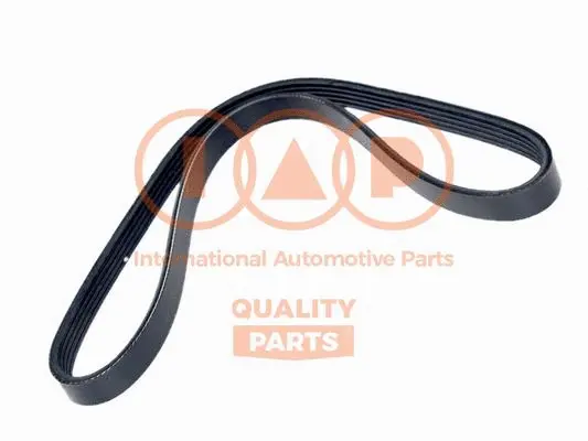 V-Ribbed Belt (140-06083)