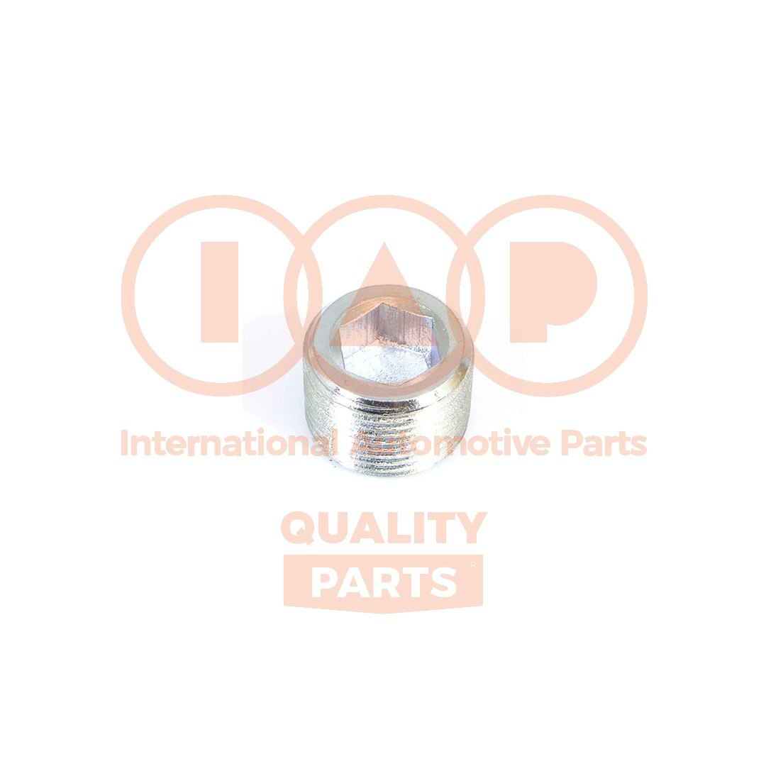 Screw Plug, oil sump (162-16076)