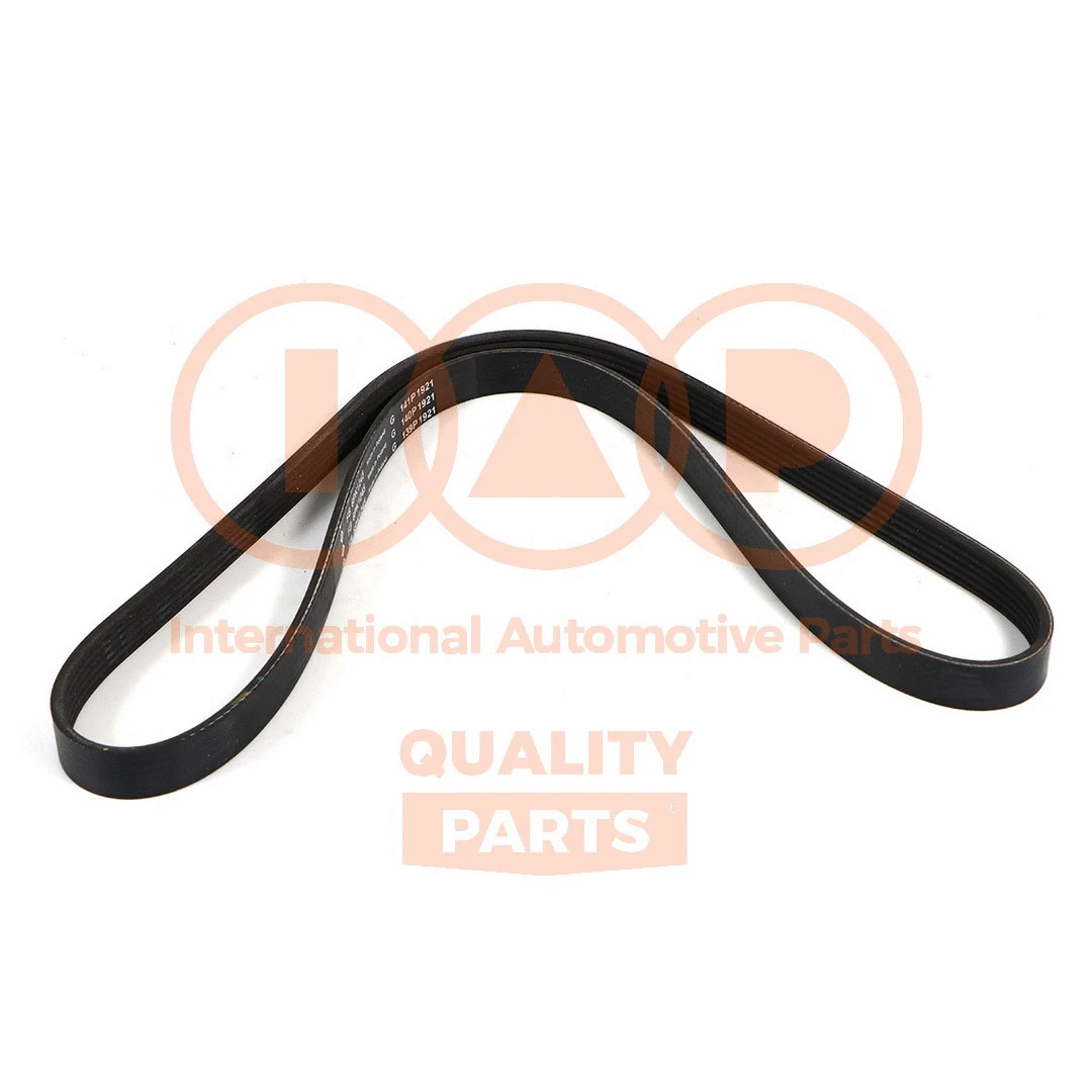 V-Ribbed Belt (140-17101)